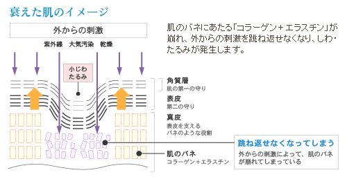 衰えた肌のイメージ