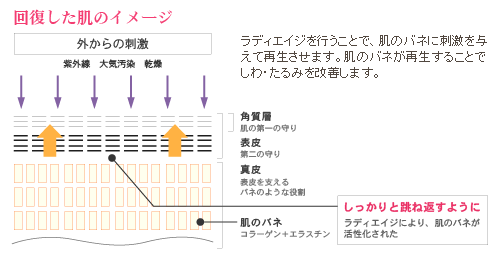 回復した肌のイメージ